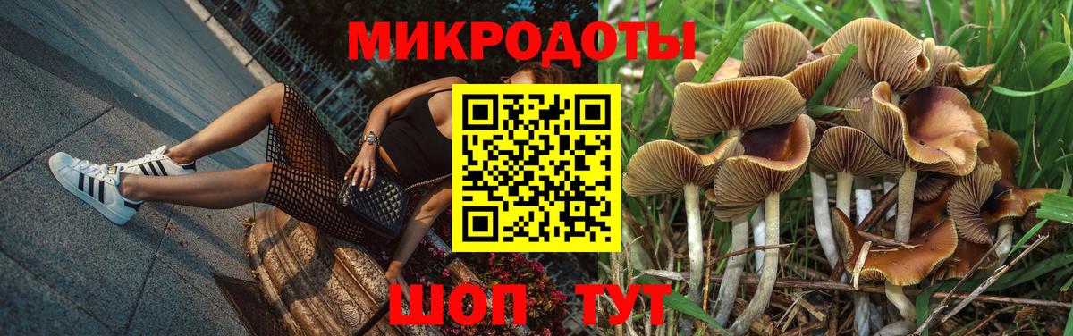 Галлюциногенные грибы Psilocybine cubensis  Вход с VPN  Салехард 